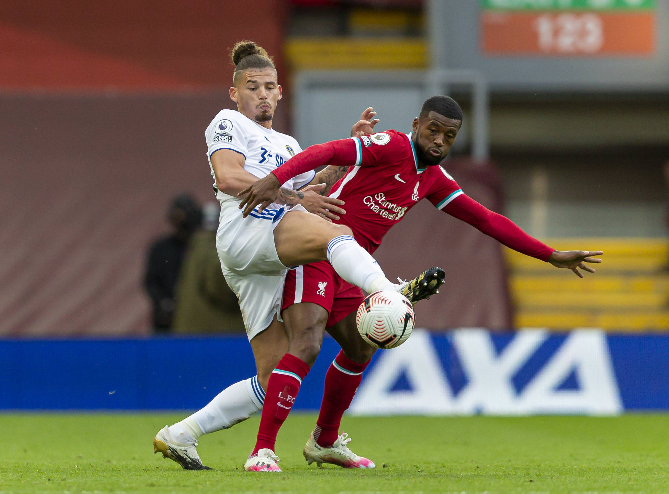 而他亲切的 而他亲切的